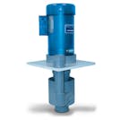 Hayward® D & S Series Seal-less Immersible Pumps