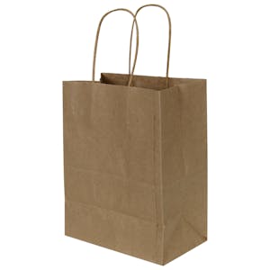8" W x 10-1/4" L + 5" BG Brown Kraft Paper Bags with Twisted Handles - Case of 250