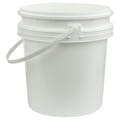 White Polypropylene 2-1/2 Gallon/9.5 Liter Bucket with Handle