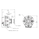 3/4" Sanitary AseptiQuik® High Temperature Coupling Insert (Body Sold Separately)