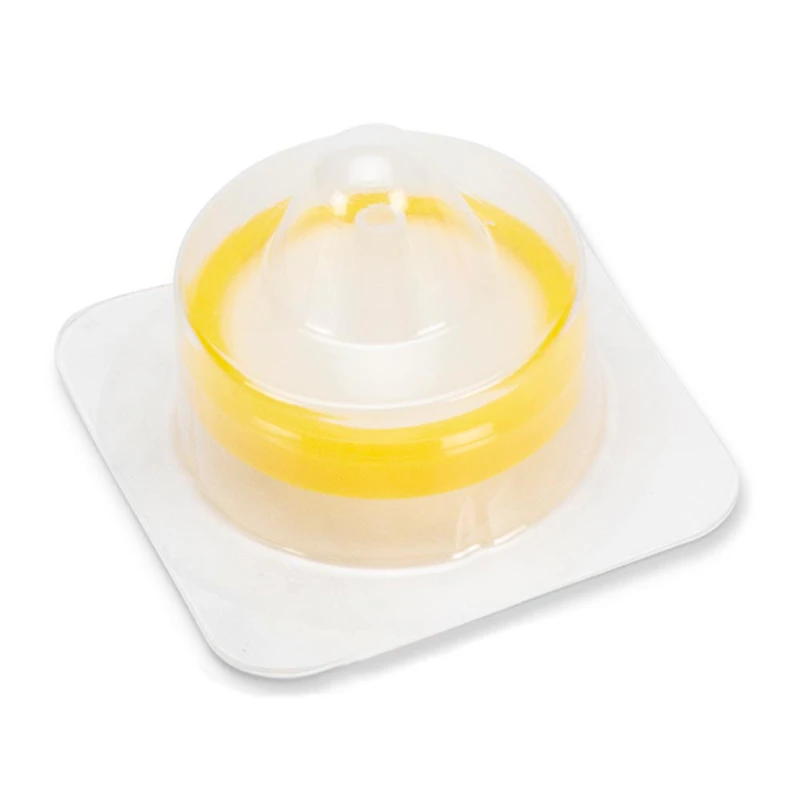 30mm Sterile Polypropylene Syringe Filter with Nylon Membrane with 0.22µm Pore