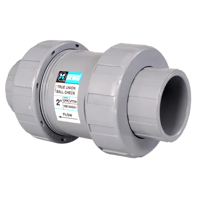 Hayward® CPVC True Union Ball Check Valves