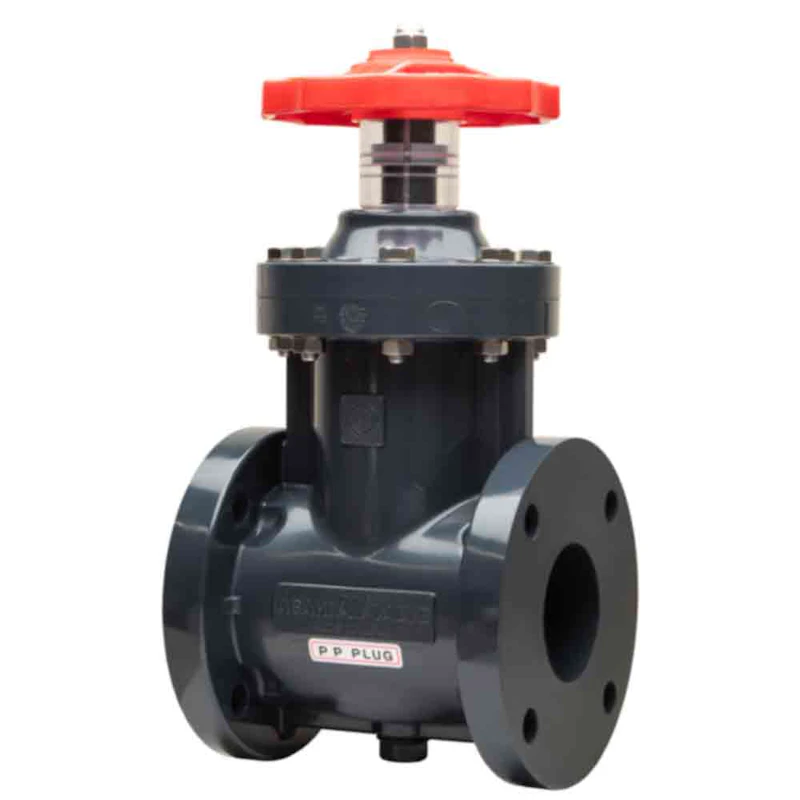 6" PVC Gate Valve