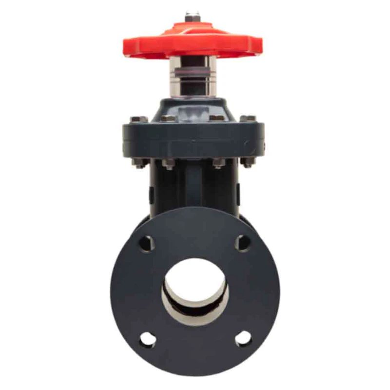 6" PVC Gate Valve