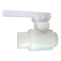 3/8" Threaded Natural PVDF Snap Globe Valve