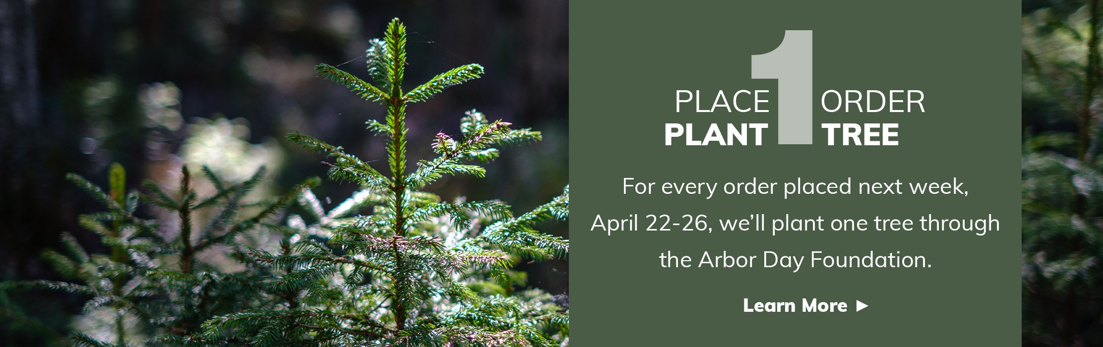 Photo of forest with text, 'Place 1 Order, Plant 1 Tree. For every order placed next week, April 22-26, we’ll plant one tree through the Arbor Day Foundation. Learn More.'