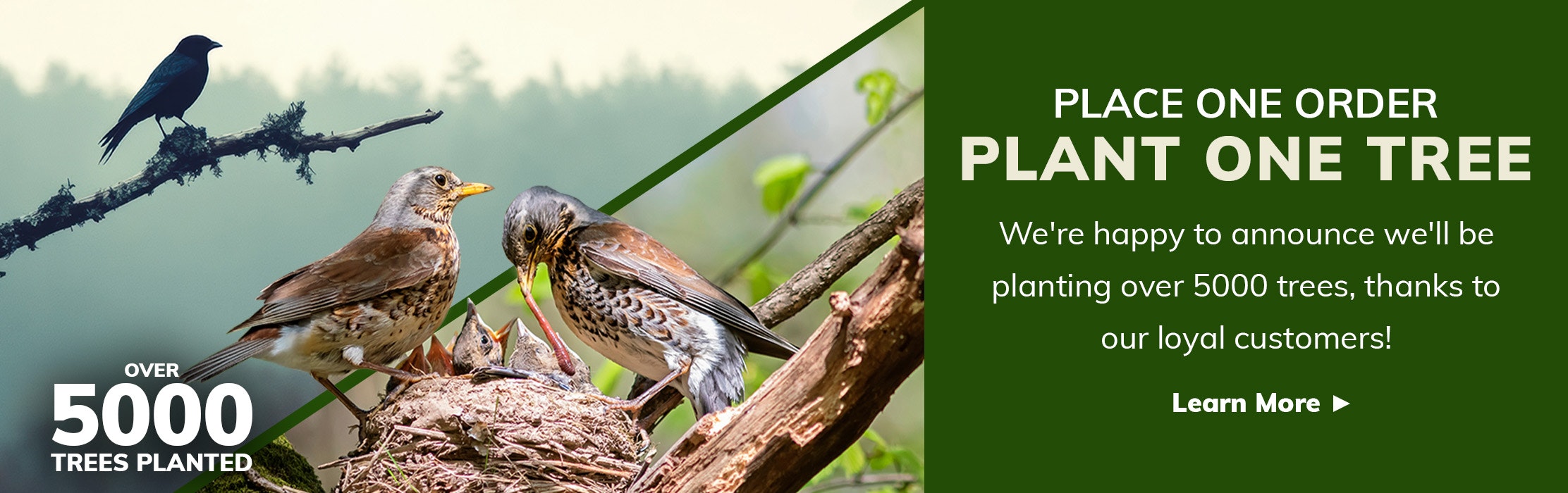 Photo of two birds feeding their young with a crow in the background. Text reads, 'Place One Order, Plant One Tree: We’re happy to announce we'll be planting over 5000 trees, thanks to our loyal customers! Learn More.'