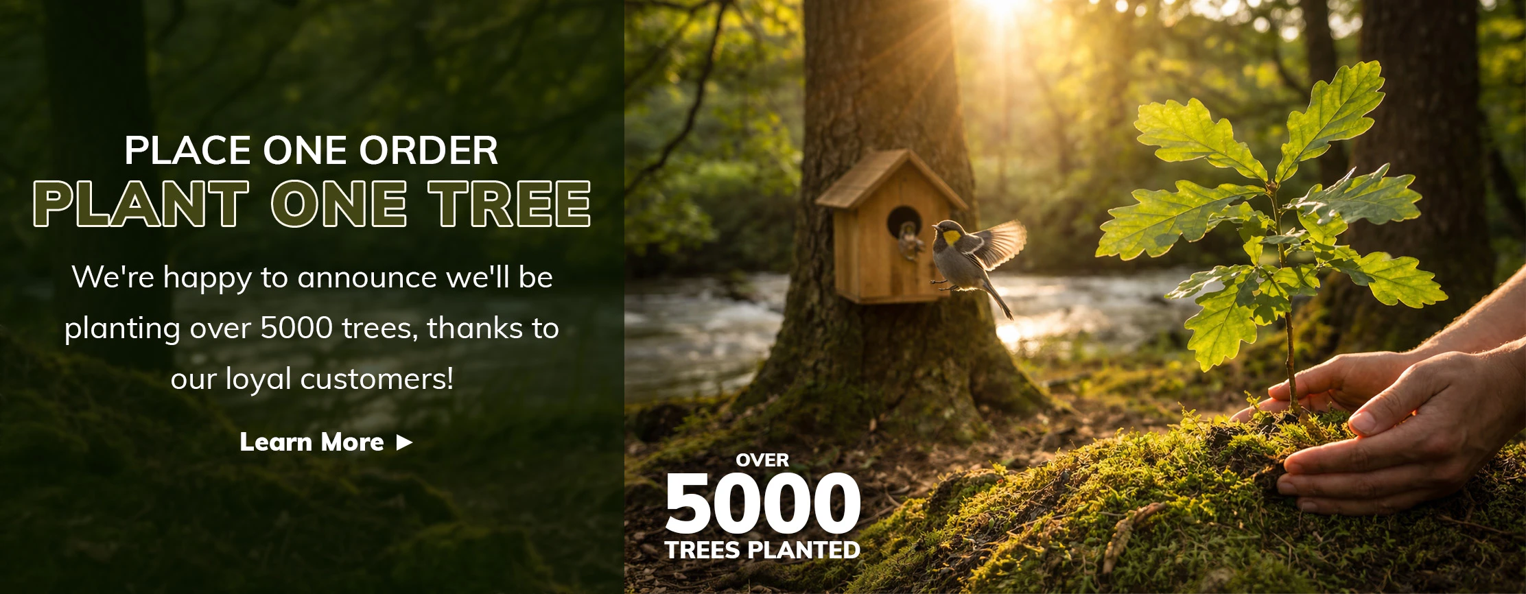 Hands planting a tree in a wooded area by a stream. A bird flies by a birdhouse in the background. Text reads, 'Place One Order, Plant One Tree: We’re happy to announce we'll be planting over 5000 trees, thanks to our loyal customers! Learn More.'