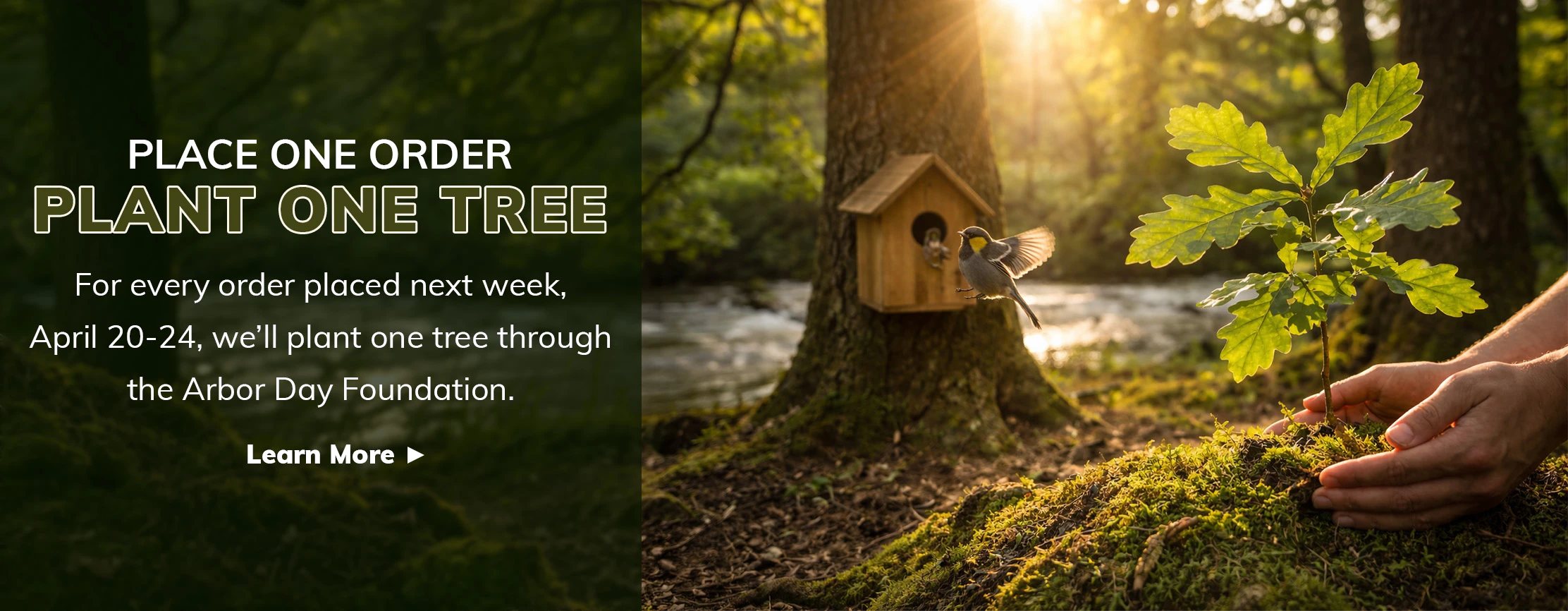 Hands planting a tree in a wooded area by a stream. A bird flies by a birdhouse in the background. Text reads, 'Place One Order, Plant One Tree: For every order placed next week, April 20-24, we’ll plant one tree through the Arbor Day Foundation. Learn More.'